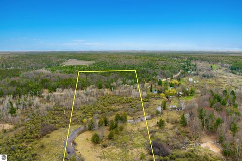 Tiny photo for 7578 S River Road SW RD, Kalkaska, MI 49646 (MLS # 1944616)