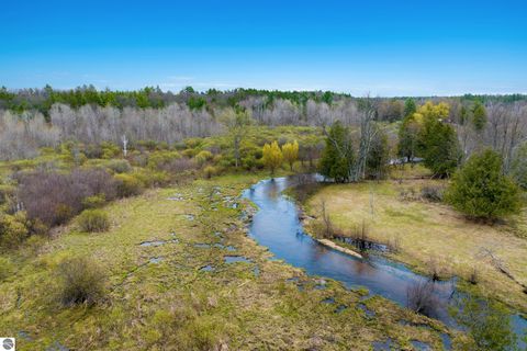 Tiny photo for 7578 S River Road SW RD, Kalkaska, MI 49646 (MLS # 1944616)