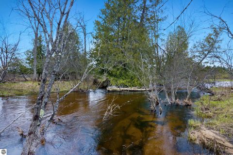 Tiny photo for 7578 S River Road SW RD, Kalkaska, MI 49646 (MLS # 1944616)
