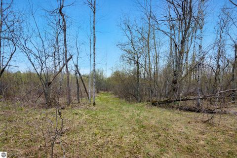 Tiny photo for 7578 S River Road SW RD, Kalkaska, MI 49646 (MLS # 1944616)