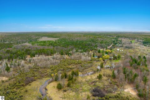 Tiny photo for 7578 S River Road SW RD, Kalkaska, MI 49646 (MLS # 1944616)