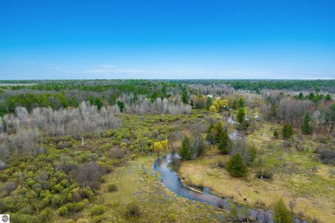 Tiny photo for 7578 S River Road SW RD, Kalkaska, MI 49646 (MLS # 1944616)