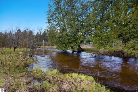 Tiny photo for 7578 S River Road SW RD, Kalkaska, MI 49646 (MLS # 1944616)