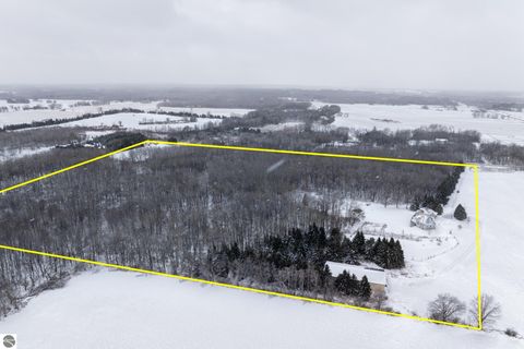 Tiny photo for 3195 S Rolland Road, Remus, MI 49340 (MLS # 1941421)