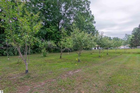 Tiny photo for 8370 N Lumberjack Road, Riverdale, MI 48877 (MLS # 1949982)