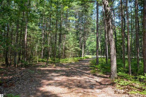 Tiny photo for 6483 W Plum Valley Road NW, Rapid City, MI 49676 (MLS # 1942874)