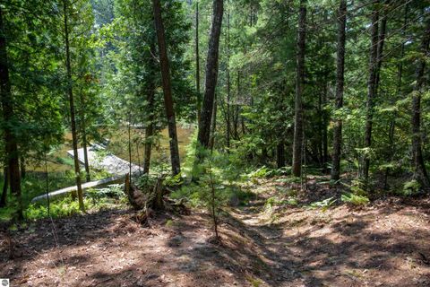 Tiny photo for 6483 W Plum Valley Road NW, Rapid City, MI 49676 (MLS # 1942874)