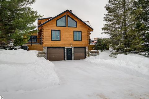 Tiny photo for 8181 M-66 SE, Fife Lake, MI 49633 (MLS # 1941470)