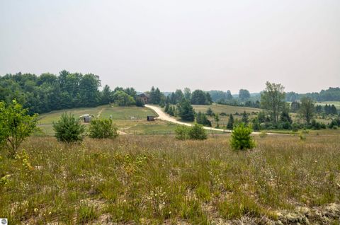 Tiny photo for 8181 M-66 SE, Fife Lake, MI 49633 (MLS # 1941470)