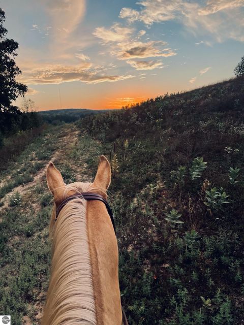 Tiny photo for 8181 M-66 SE, Fife Lake, MI 49633 (MLS # 1941470)