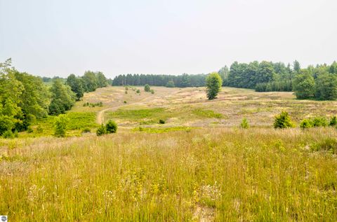 Tiny photo for 8181 M-66 SE, Fife Lake, MI 49633 (MLS # 1941470)