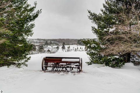 Tiny photo for 8181 M-66 SE, Fife Lake, MI 49633 (MLS # 1941470)