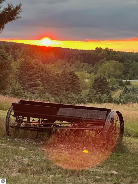 Tiny photo for 8181 M-66 SE, Fife Lake, MI 49633 (MLS # 1941470)