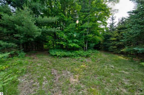 Tiny photo for 8181 M-66 SE, Fife Lake, MI 49633 (MLS # 1941470)