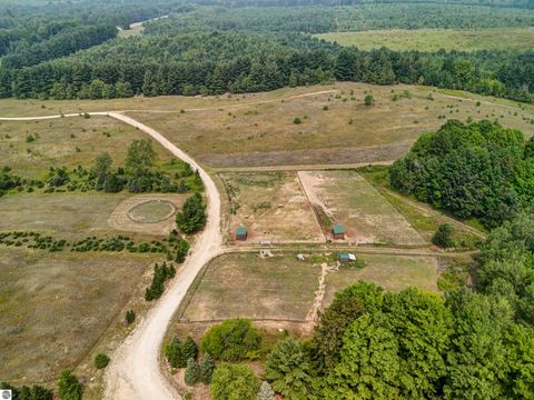 Tiny photo for 8181 M-66 SE, Fife Lake, MI 49633 (MLS # 1941470)