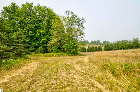 Tiny photo for 8181 M-66 SE, Fife Lake, MI 49633 (MLS # 1941470)