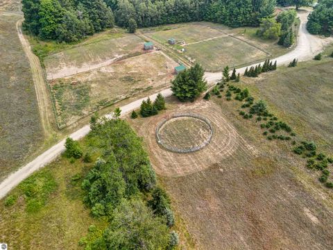 Tiny photo for 8181 M-66 SE, Fife Lake, MI 49633 (MLS # 1941470)