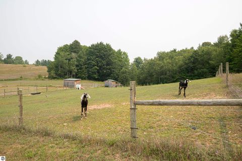 Tiny photo for 8181 M-66 SE, Fife Lake, MI 49633 (MLS # 1941470)