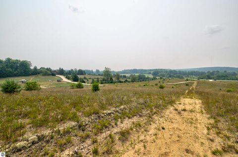 Tiny photo for 8181 M-66 SE, Fife Lake, MI 49633 (MLS # 1941470)