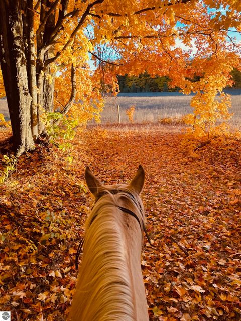 Tiny photo for 8181 M-66 SE, Fife Lake, MI 49633 (MLS # 1941470)