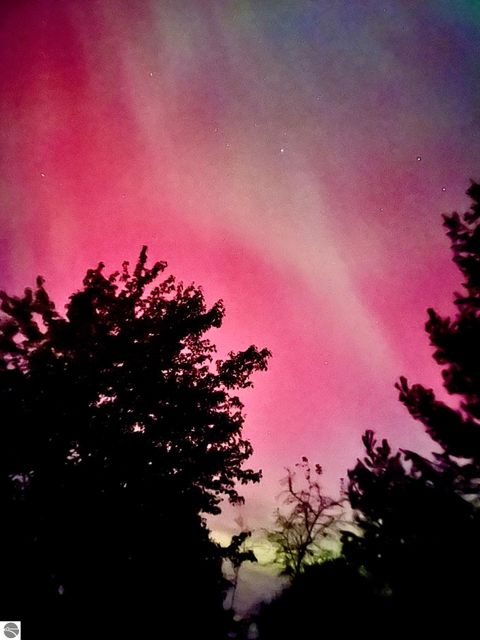 Tiny photo for 8181 M-66 SE, Fife Lake, MI 49633 (MLS # 1941470)