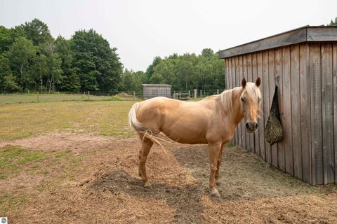 Tiny photo for 8181 M-66 SE, Fife Lake, MI 49633 (MLS # 1941470)