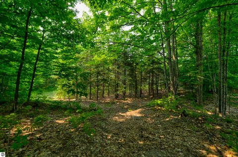 Tiny photo for 8181 M-66 SE, Fife Lake, MI 49633 (MLS # 1941470)