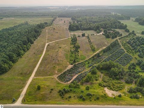 Tiny photo for 8181 M-66 SE, Fife Lake, MI 49633 (MLS # 1941470)