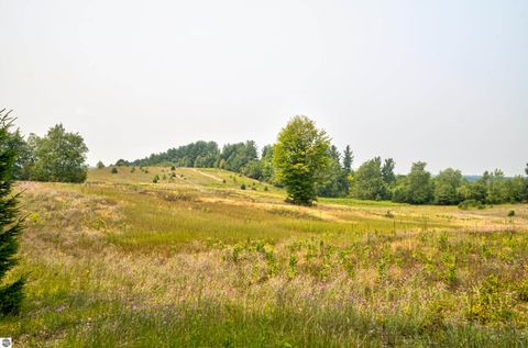 Tiny photo for 8181 M-66 SE, Fife Lake, MI 49633 (MLS # 1941470)