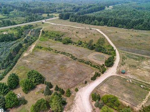 Tiny photo for 8181 M-66 SE, Fife Lake, MI 49633 (MLS # 1941470)