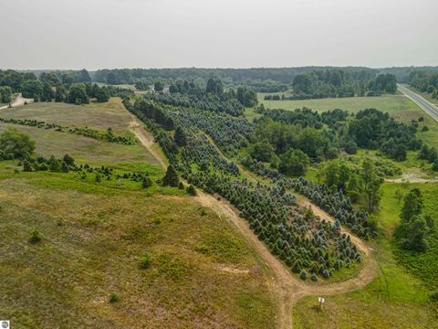 Tiny photo for 8181 M-66 SE, Fife Lake, MI 49633 (MLS # 1941470)