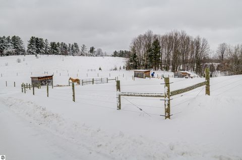 Tiny photo for 8181 M-66 SE, Fife Lake, MI 49633 (MLS # 1941470)