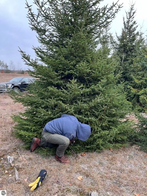 Tiny photo for 8181 M-66 SE, Fife Lake, MI 49633 (MLS # 1941470)