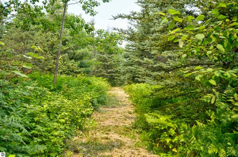Tiny photo for 8181 M-66 SE, Fife Lake, MI 49633 (MLS # 1941470)