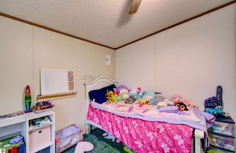 Tiny photo for 9440 E Broomfield Road, Mt Pleasant, MI 48858 (MLS # 1942411)