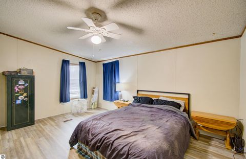 Tiny photo for 9440 E Broomfield Road, Mt Pleasant, MI 48858 (MLS # 1942411)