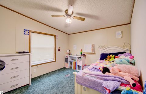 Tiny photo for 9440 E Broomfield Road, Mt Pleasant, MI 48858 (MLS # 1942411)