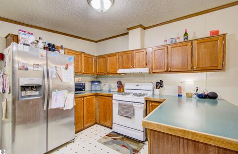 Tiny photo for 9440 E Broomfield Road, Mt Pleasant, MI 48858 (MLS # 1942411)