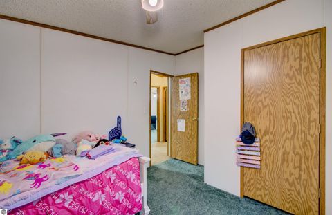 Tiny photo for 9440 E Broomfield Road, Mt Pleasant, MI 48858 (MLS # 1942411)