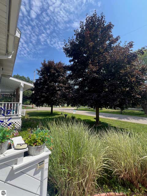 Tiny photo for 200 W Franklin Street, East Tawas, MI 48730 (MLS # 1946214)