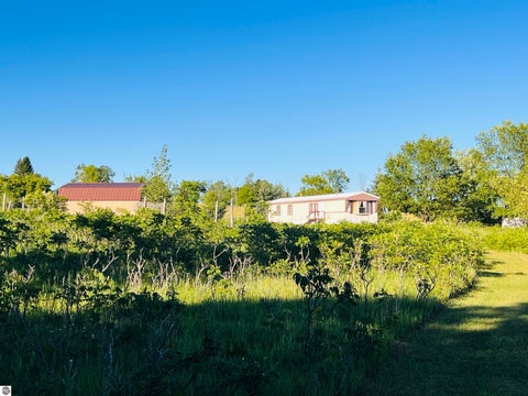 Tiny photo for 13845 70th Avenue, Evart, MI 49631 (MLS # 1946988)