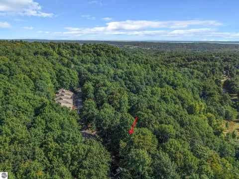Tiny photo for 11292 S Cottonwood Drive, Traverse City, MI 49684 (MLS # 1949895)