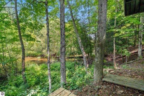 Tiny photo for 15049 Healy Lake Road, Bear Lake, MI 49614 (MLS # 1948932)
