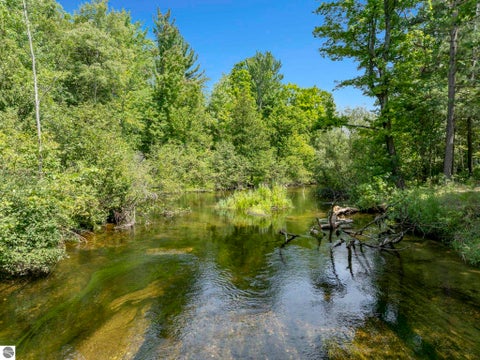 Tiny photo for 15049 Healy Lake Road, Bear Lake, MI 49614 (MLS # 1948932)