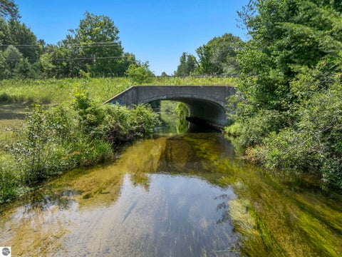 Tiny photo for 15049 Healy Lake Road, Bear Lake, MI 49614 (MLS # 1948932)