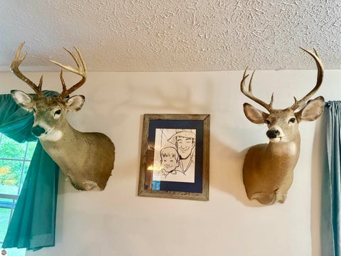 Tiny photo for 587 N Lewis RD, Shepherd, MI 48883 (MLS # 1950944)