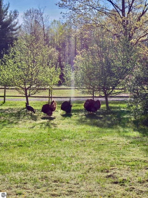 Tiny photo for 587 N Lewis RD, Shepherd, MI 48883 (MLS # 1950944)