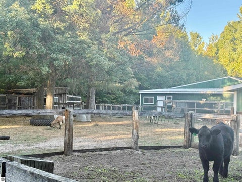 Tiny photo for 587 N Lewis RD, Shepherd, MI 48883 (MLS # 1950944)
