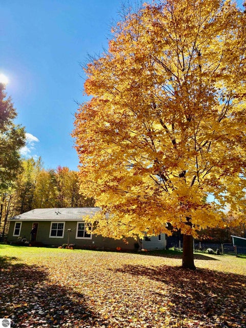 Tiny photo for 587 N Lewis RD, Shepherd, MI 48883 (MLS # 1950944)