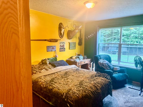 Tiny photo for 587 N Lewis RD, Shepherd, MI 48883 (MLS # 1950944)